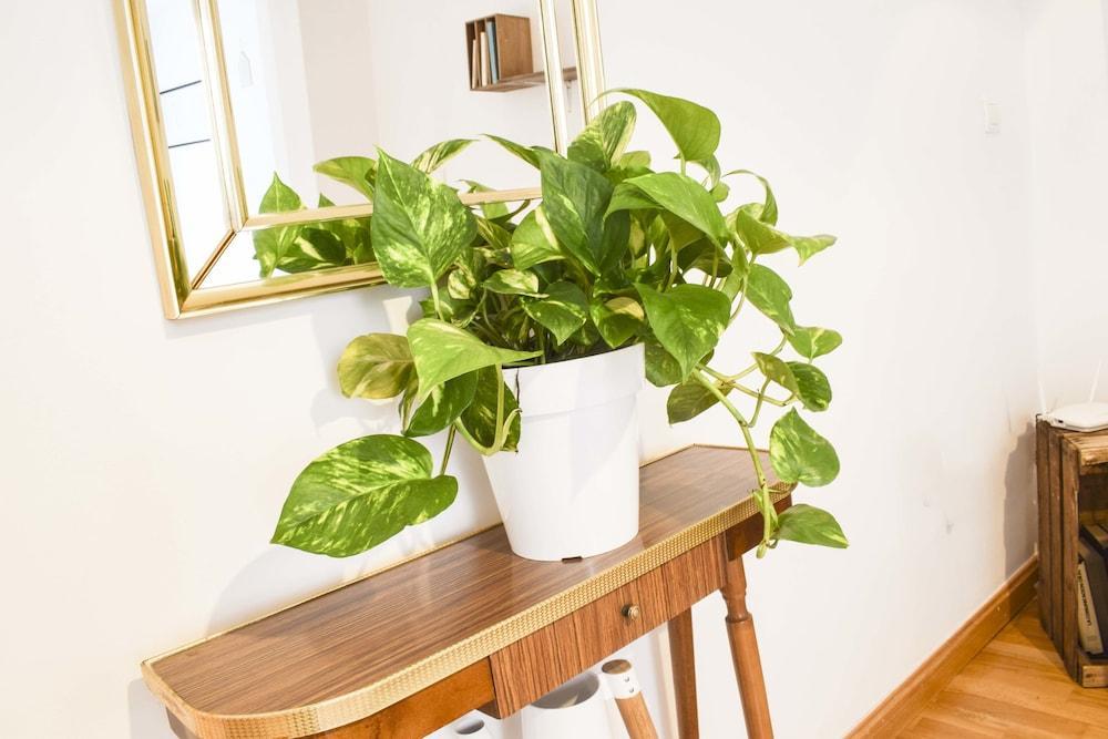 Apartmán Letmalaga Carreteria Exteriér fotografie